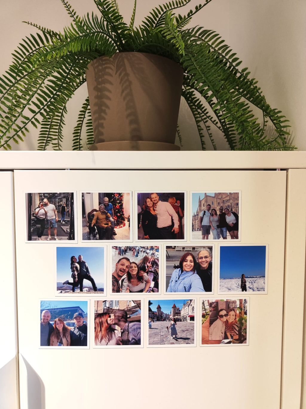 Set of 12 custom magnets