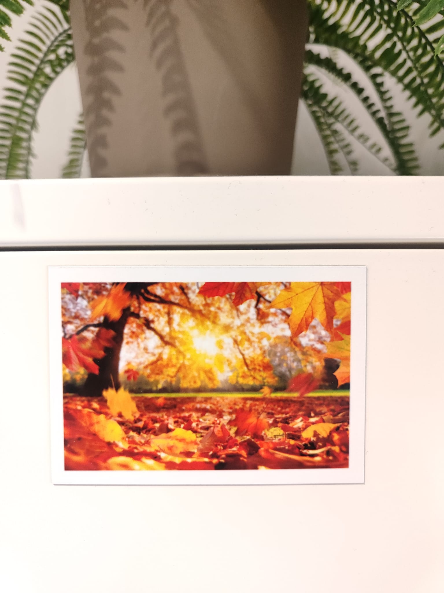 Set of 8 magnets for greater memories