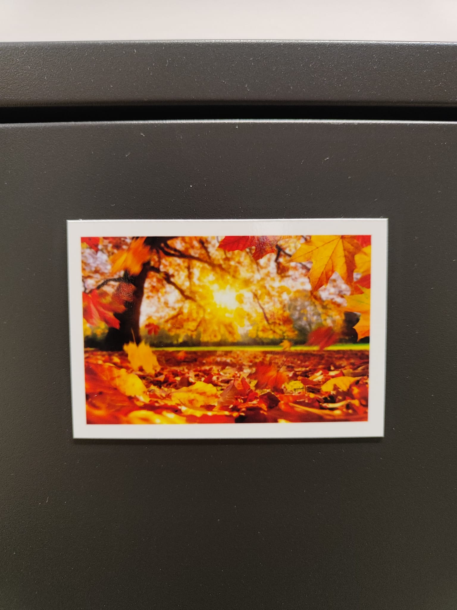 Set of 8 magnets for greater memories